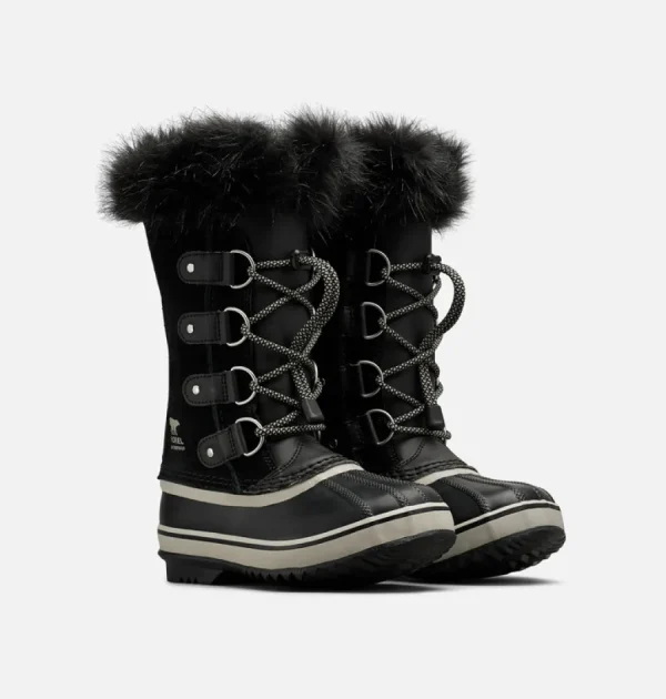 Online Joan of Arctic Winter
