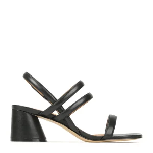 Clearance Petella Women Heels | Heels