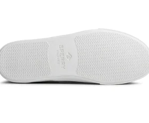 Discount Striper II CVO Sneaker Women Casual | Sneakers
