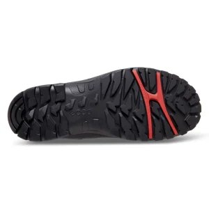 Best Xpedition GTX 811174 Winter