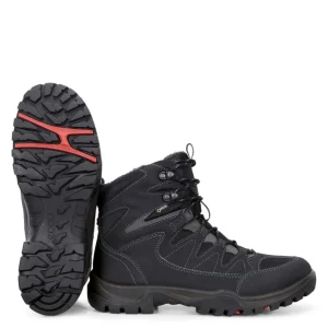 Best Xpedition GTX 811174 Winter